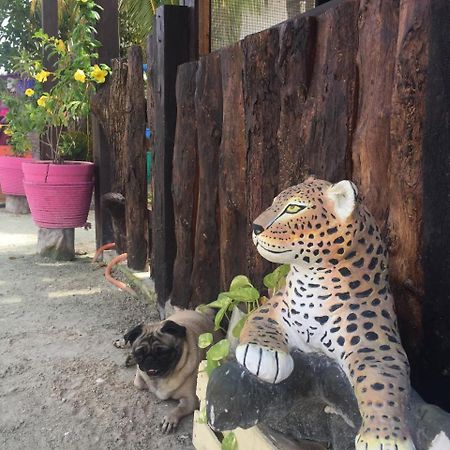 Hotel Hacienda La Catrina Isla Holbox Kültér fotó