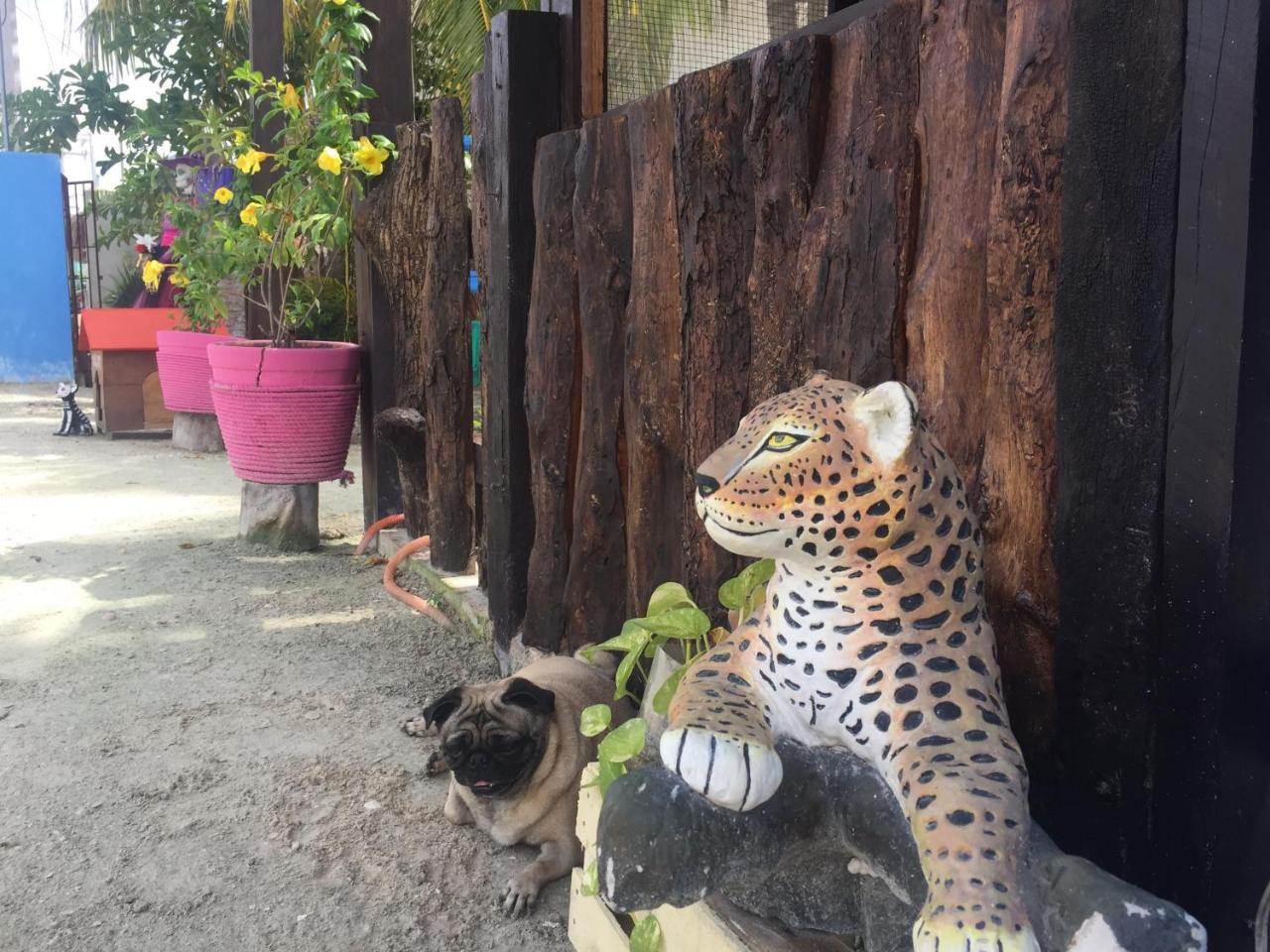 Hotel Hacienda La Catrina Isla Holbox Kültér fotó